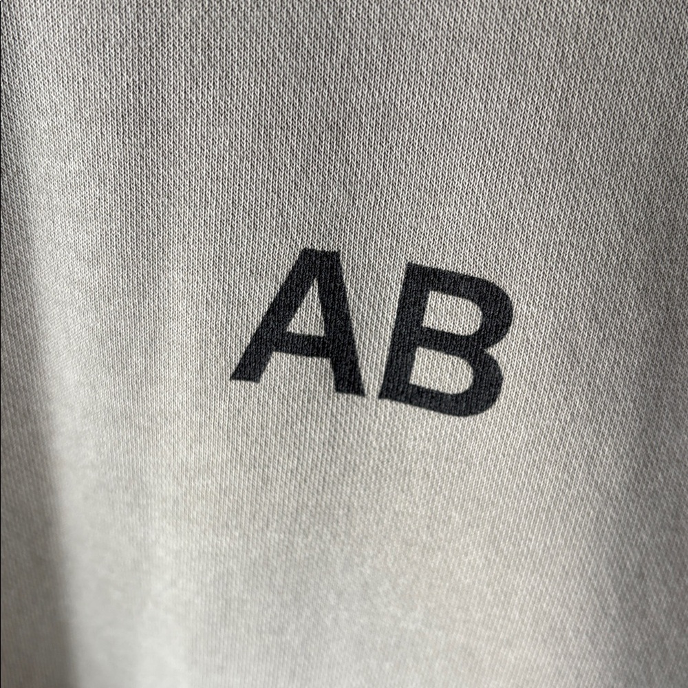 Andrew Bird Sweatshirt Inside Problems Concert Indy Folk Rock Tour Merch Size S - Picture 2 of 4